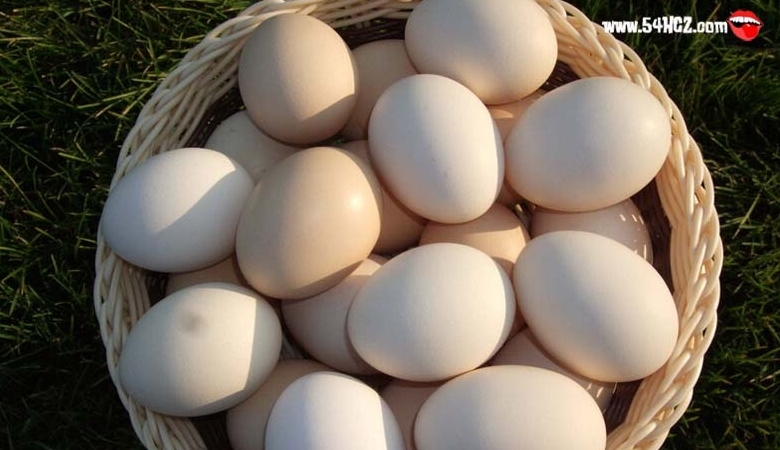 食物禁忌：豆漿和雞蛋可以一起吃嗎?