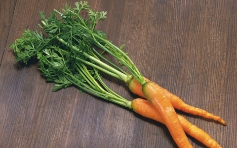 胡蘿蔔怎樣吃最有營養 巧妙搭配保健康