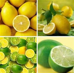 檸檬水的好處減肥
